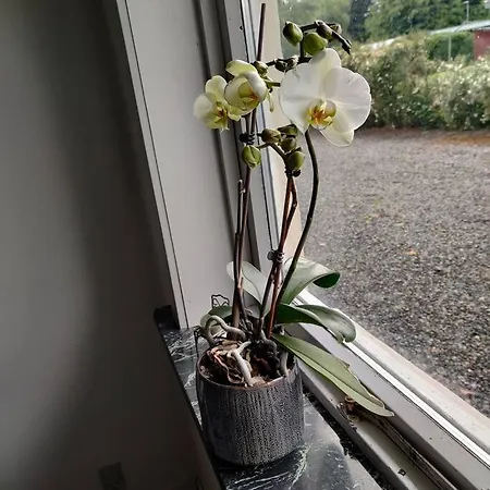 Vidunderligt Hus I Landlige Omgivelser Spottrup